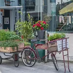 Aparthotel Selskar Court *